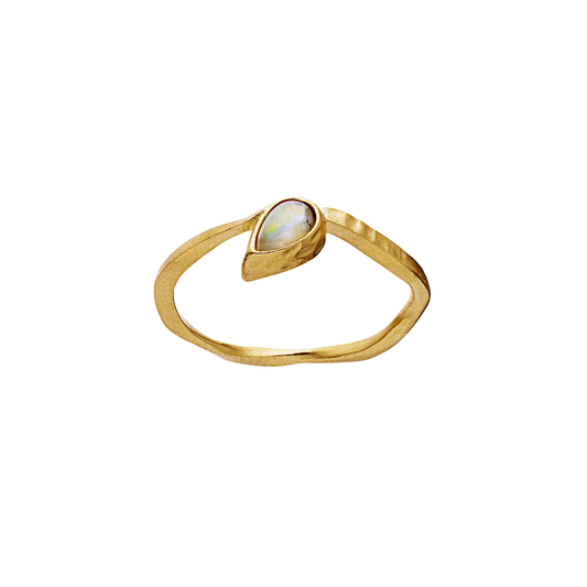 Maanesten - Cille ring