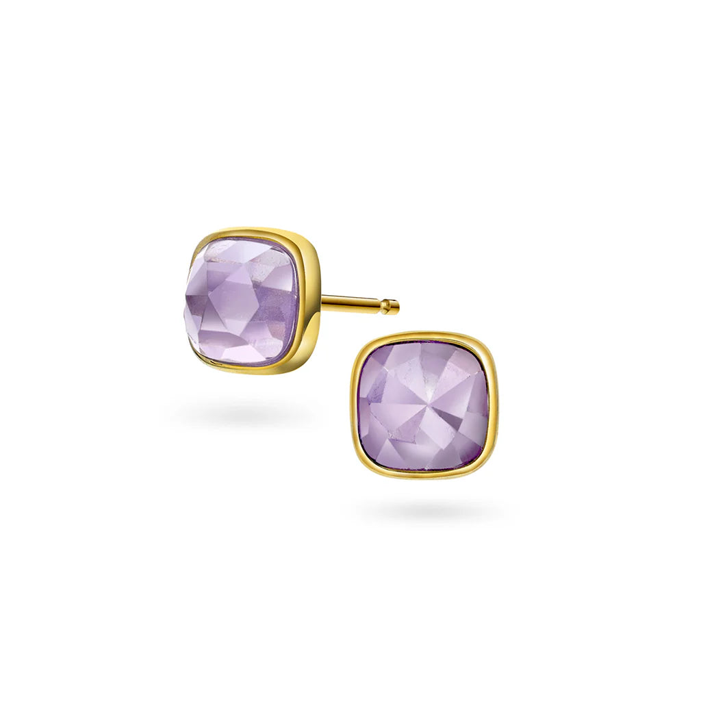 Sandra Lyng x by Pan Jewelry, Øredobber i forgylt sølv med ametyst RO